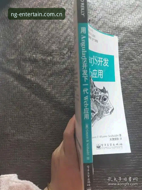揭秘NG娱乐官方网站全新正版体验：技术评测与版本迭代背后的真相